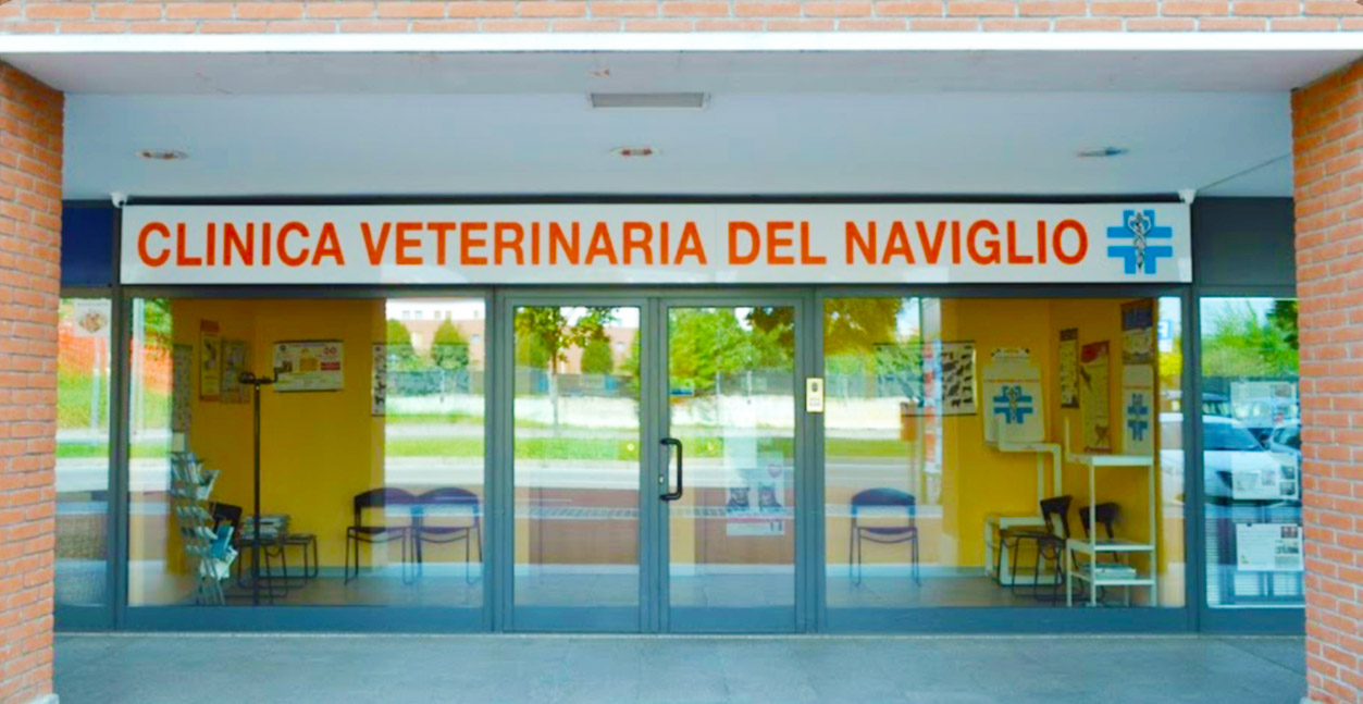 Happy Vet Clinica Veterinaria a Vimodrone Happy Vet Clinica Veterinaria a Vimodrone